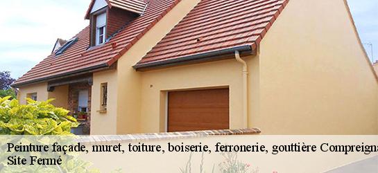Peinture façade, muret, toiture, boiserie, ferronerie, gouttière 87140