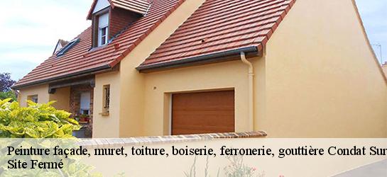 Peinture façade, muret, toiture, boiserie, ferronerie, gouttière 87920
