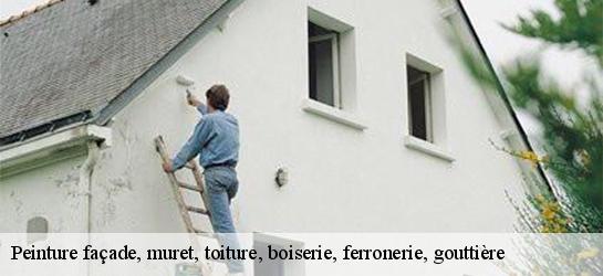 Peinture façade, muret, toiture, boiserie, ferronerie, gouttière 87800