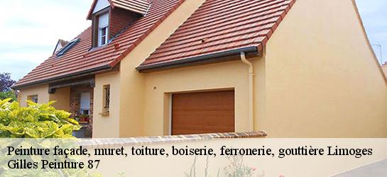 Peinture façade, muret, toiture, boiserie, ferronerie, gouttière  87000
