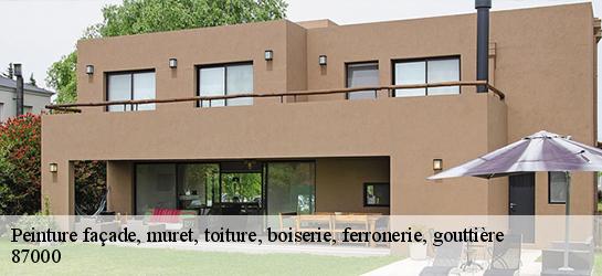 Peinture façade, muret, toiture, boiserie, ferronerie, gouttière  87000