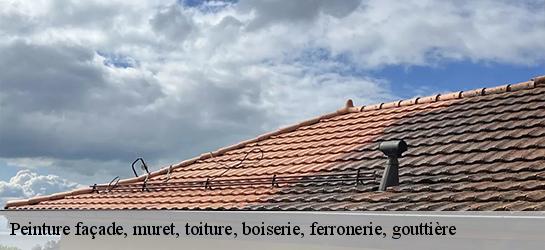 Peinture façade, muret, toiture, boiserie, ferronerie, gouttière  87000
