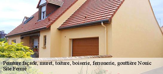 Peinture façade, muret, toiture, boiserie, ferronerie, gouttière 87330