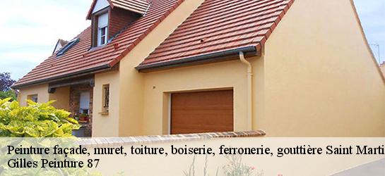 Peinture façade, muret, toiture, boiserie, ferronerie, gouttière 87200