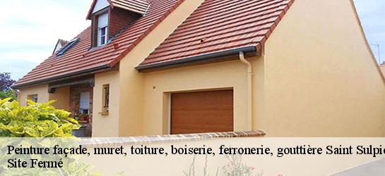 Peinture façade, muret, toiture, boiserie, ferronerie, gouttière 87160