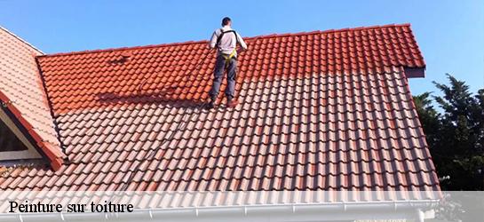 Peinture sur toiture Haute-Vienne 