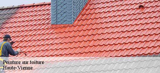 Peinture sur toiture Haute-Vienne