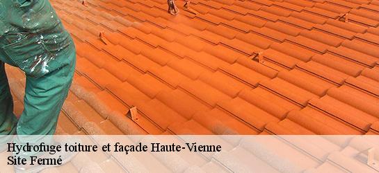 Hydrofuge toiture et façade Haute-Vienne