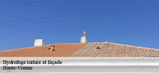 Hydrofuge toiture et façade Haute-Vienne