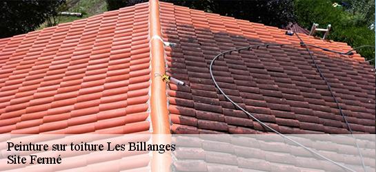 Peinture sur toiture  87340