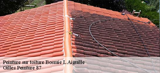 Peinture sur toiture 87110