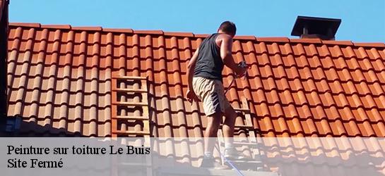 Peinture sur toiture  87140