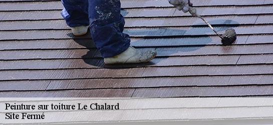 Peinture sur toiture  87500