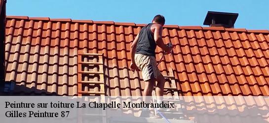 Peinture sur toiture 87440