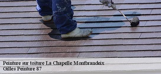 Peinture sur toiture 87440