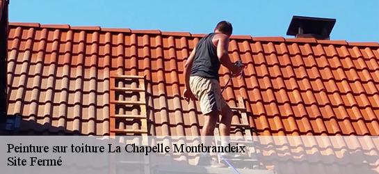 Peinture sur toiture 87440