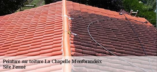 Peinture sur toiture 87440