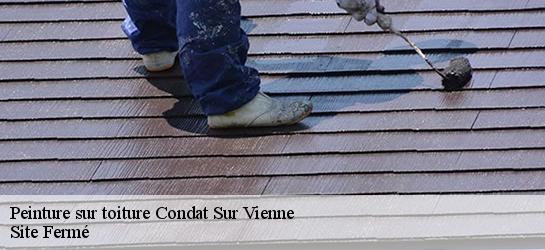 Peinture sur toiture  87920
