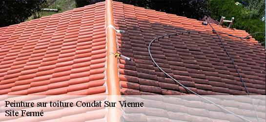 Peinture sur toiture  87920