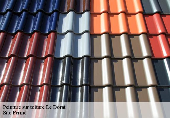 Peinture sur toiture le-dorat-87210 Site Fermé