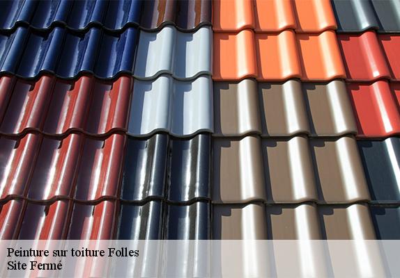 Peinture sur toiture folles-87250 Site Fermé
