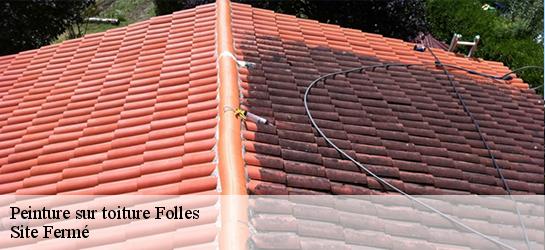 Peinture sur toiture 87250