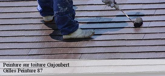 Peinture sur toiture  87330