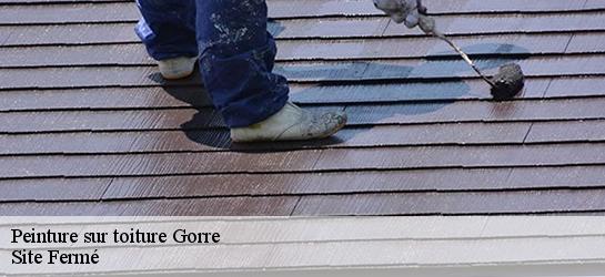 Peinture sur toiture  87310