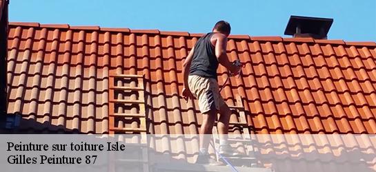 Peinture sur toiture 87170