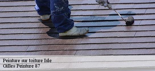 Peinture sur toiture 87170