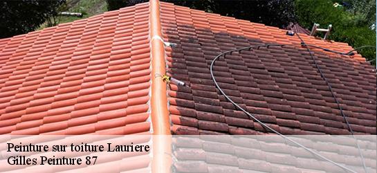 Peinture sur toiture 87370