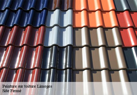 Peinture sur toiture limoges-87000 Site Fermé