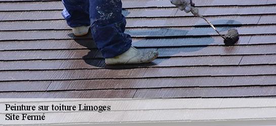 Peinture sur toiture 87000