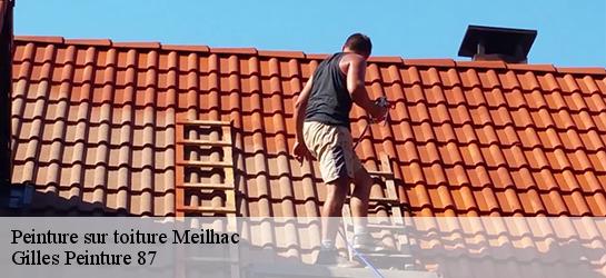 Peinture sur toiture 87800