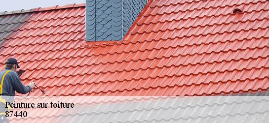Peinture sur toiture 87440