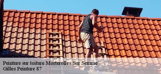 Peinture sur toiture 87250