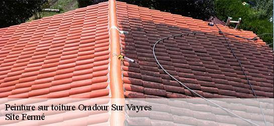 Peinture sur toiture  87150