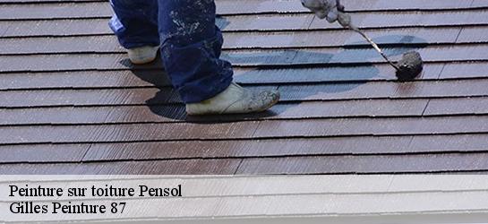 Peinture sur toiture 87440