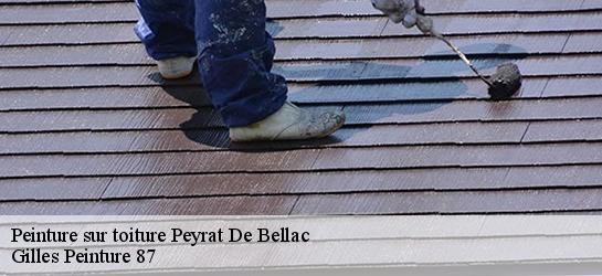 Peinture sur toiture 87300