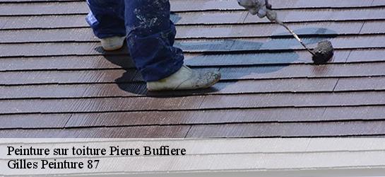 Peinture sur toiture 87260