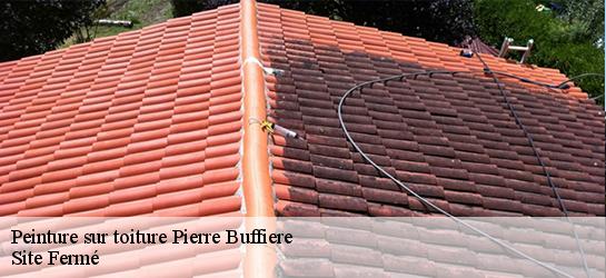Peinture sur toiture 87260