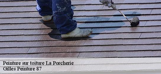 Peinture sur toiture 87380