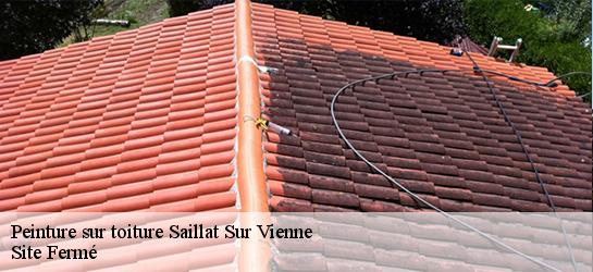 Peinture sur toiture 87720