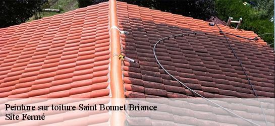 Peinture sur toiture  87260