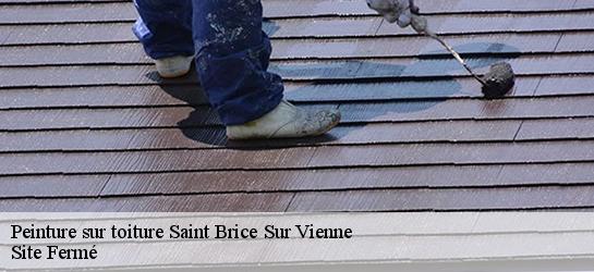 Peinture sur toiture 87200