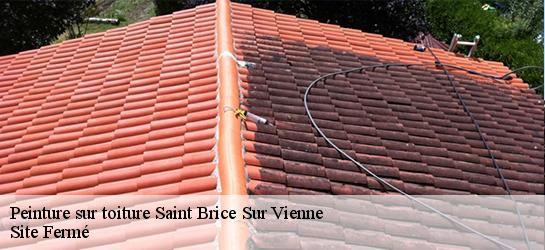 Peinture sur toiture 87200