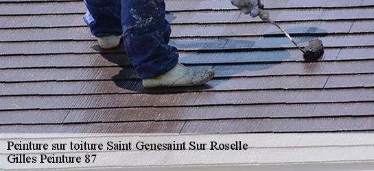 Peinture sur toiture 87260