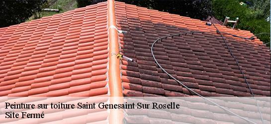 Peinture sur toiture 87260