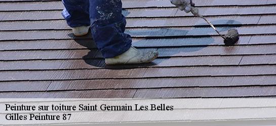 Peinture sur toiture 87380