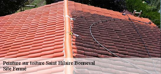 Peinture sur toiture  87260